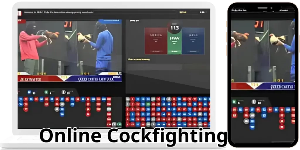 Sabong DS88 - Detailed Guide on How to Play Online Cockfighting at Plus777 3 How to Play Online Cockfighting at Plus777