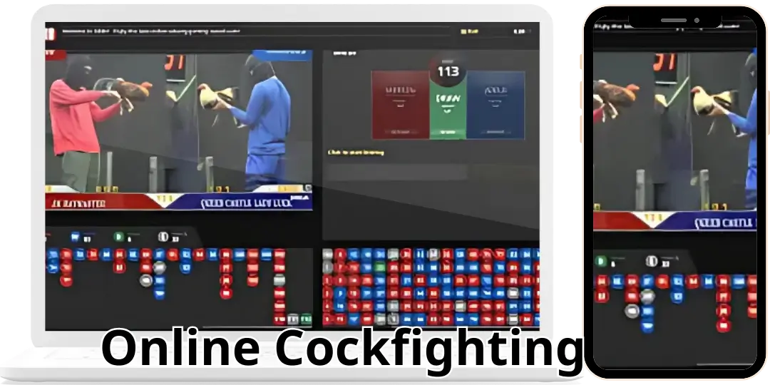 Sabong DS88 - Detailed Guide on How to Play Online Cockfighting at Plus777 2 How to Play Online Cockfighting at Plus777
